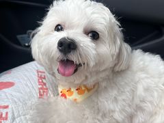 -FAELING PETS美天灵宠物(富力广场店)
