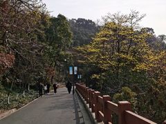 -杭州半山国家森林公园