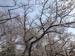 -阿甘锅盔(清河万象汇店)
