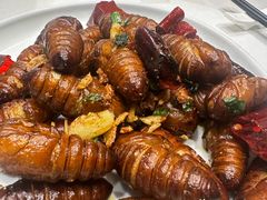 -一轩饺子馆(丽都店)