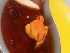 -青瓷火锅料理(西单大悦城店)