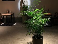 -喜洲吧·江畔老船厂·庭院餐厅(喜临院店)