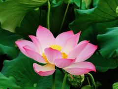 -渭南桃花源民俗文化园