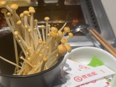 -海底捞火锅(吾悦广场店)