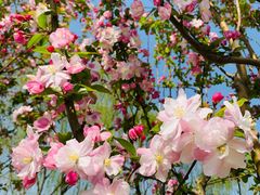 -永定河休闲森林公园