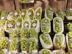 -AEON永旺(东方宝泰店)