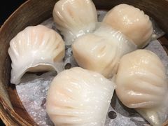 -高第街56号餐厅(银座商城玉函店)