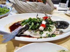 清蒸鲩鱼-五邑人家(江门店)