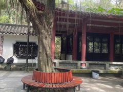 -东莞市大岭山森林公园