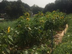 -天河儿童公园