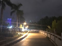-金鸡岭桥头公园