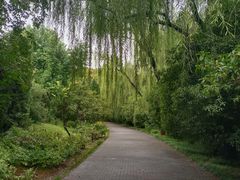 -洛阳市隋唐城遗址植物园