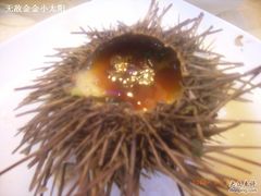 海胆蒸蛋-海岛渔村大酒店(云霄路店)