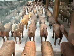 -汉景帝阳陵博物院