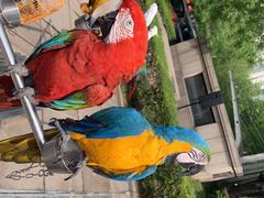 -陕西自然博物馆