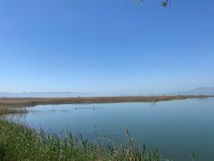 -野鸭湖国家湿地公园