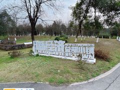 -白鹭湾湿地公园