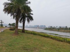 -九龙湖公园