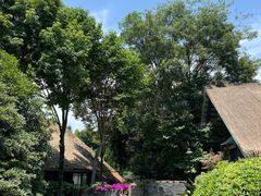 -老房子金沙元年川菜食府·花园餐厅(金沙店)