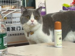 -和木形象