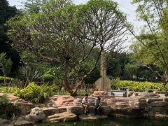 -晓港公园