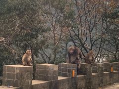-九华山风景区