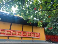 -龙华素斋(龙华路店)