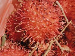 -林旺社区水果市场