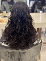 -镁连社·美联社