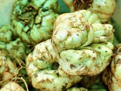 -陶祖圣境风景区