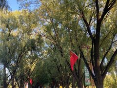 -野鸭湖国家湿地公园