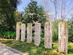 -金山公园