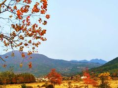 -塔川景区