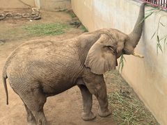 -西霞口神雕山野生动物世界