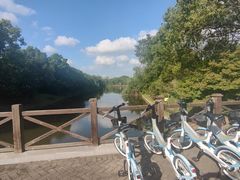 -上海海湾国家森林公园