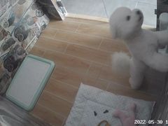 -宠物之家Pets Home 宠物寄养酒店