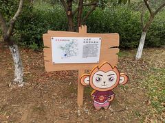 -九龙潭景区