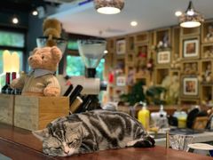 -咖法森林·咖啡  酒吧(天河店)