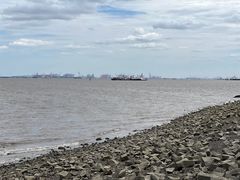 -上海滨江森林公园
