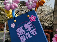 -高东镇樱花园