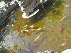 -鲜佰汇海鲜烤肉自助餐厅(银座商城泰安店)