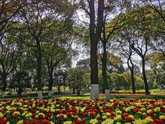 -上海鲜花港