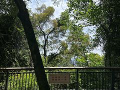 -金鸡山公园