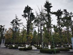 -两江幸福广场