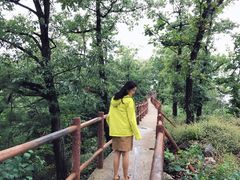 -商洛老君山旅游风景区