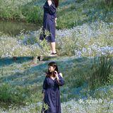 杭州喜林草花海打卡|掉进莫奈花园里啦