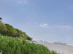 -吴淞炮台湾湿地森林公园烧烤区