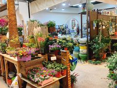 -双季花艺园艺市场(浦东店)