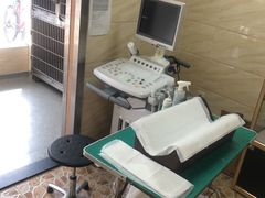 -安安宠医·安宠宠物医院