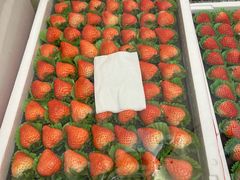 -Dark Horse·黑马蛋糕·低脂·低糖淡奶(金匙望湖大厦店)